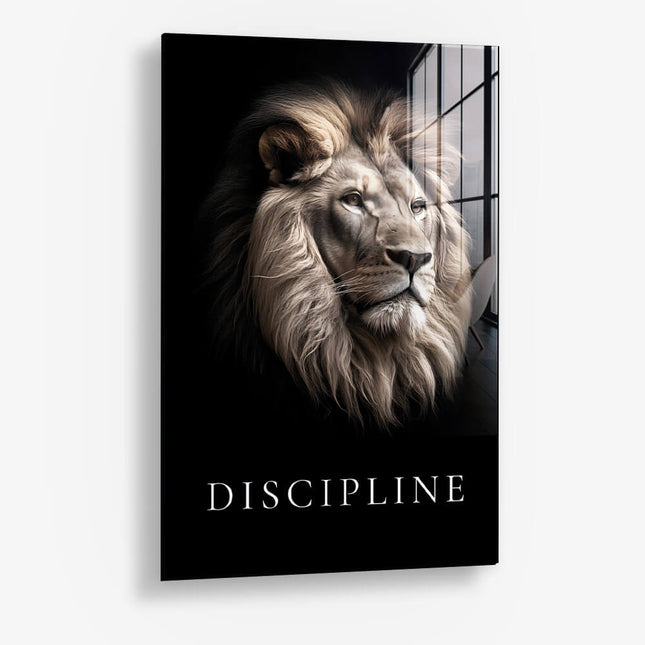 Discipline – Glass