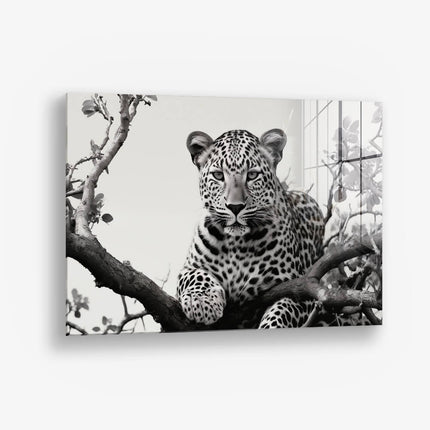 Jaguard In The Tree – Glass