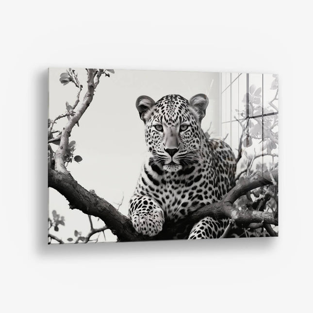 Jaguard In The Tree – Glass