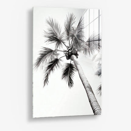 Beachy Palm – Glass