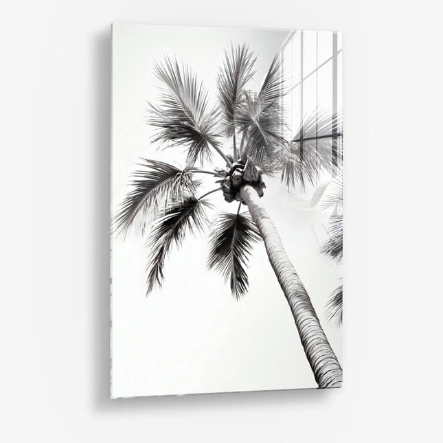 Beachy Palm – Glass