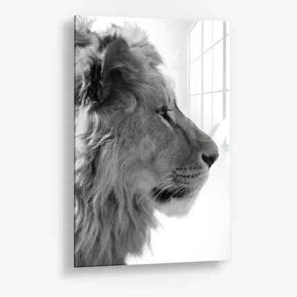 Alpha Trace – Glass