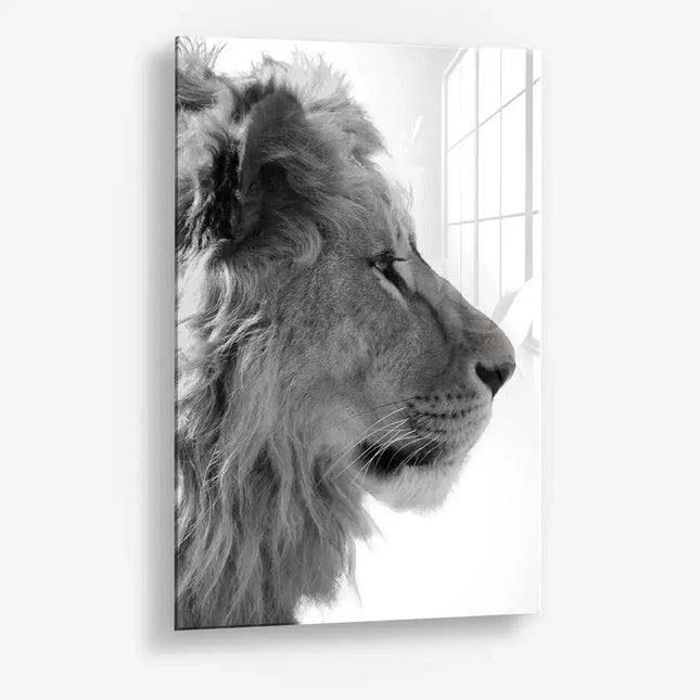 Alpha Trace – Glass