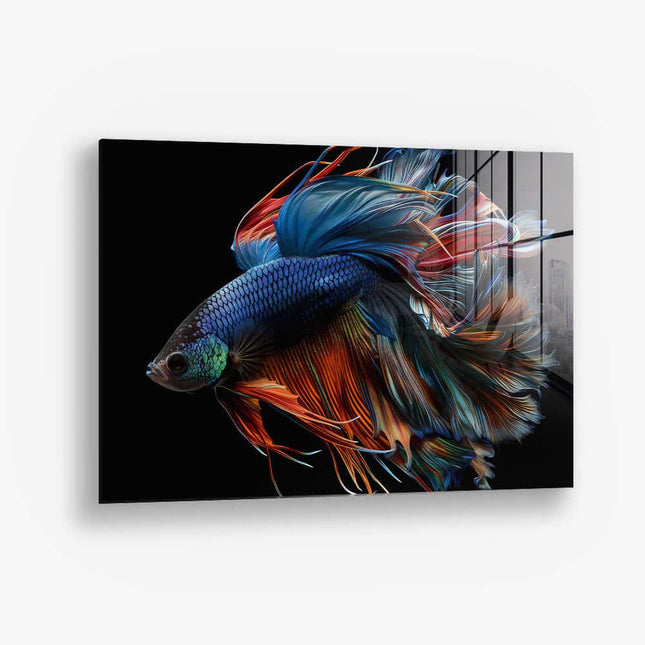 Betta Fish – Glass