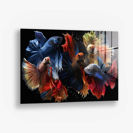 Colourful Fishes – Glass