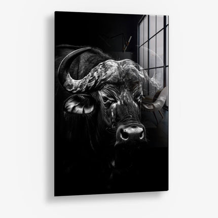 Gaze of Resilience – Glass