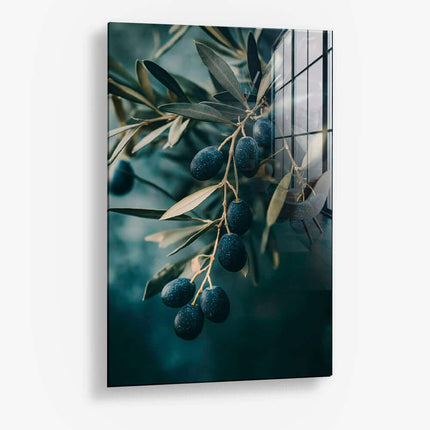 Olive Tree Closeup – Glass