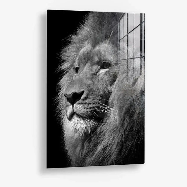 Regal Depth – Glas