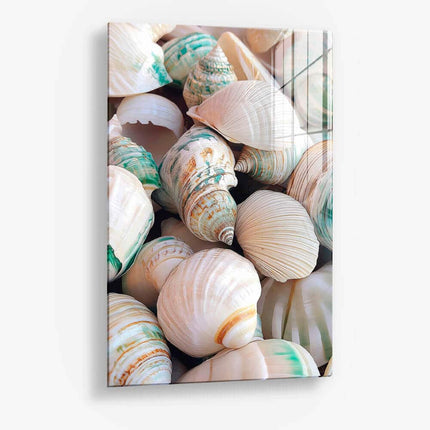 Sea Shell – Glass