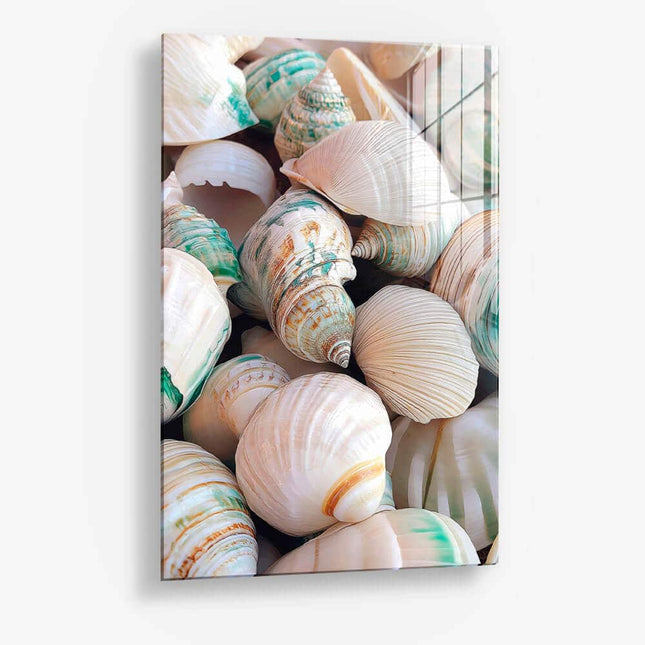 Sea Shell – Glass
