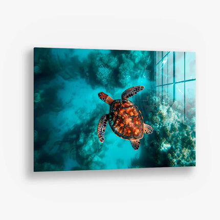 Sea Turtle HZ – Glass