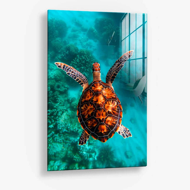 Sea Turtle VT – Glass