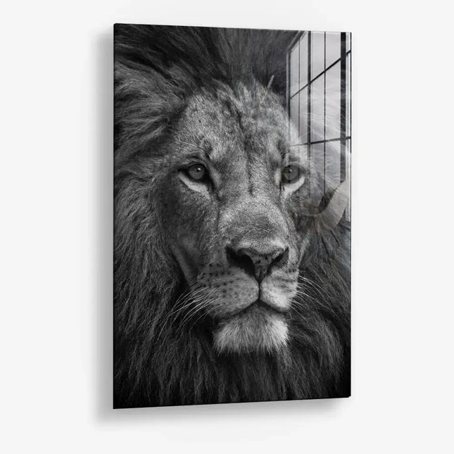 Throneborn – Glass