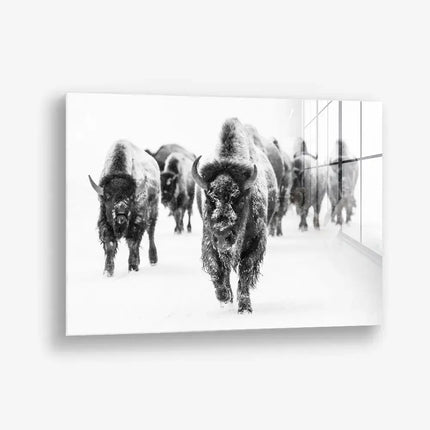 Through the Snow – Glass