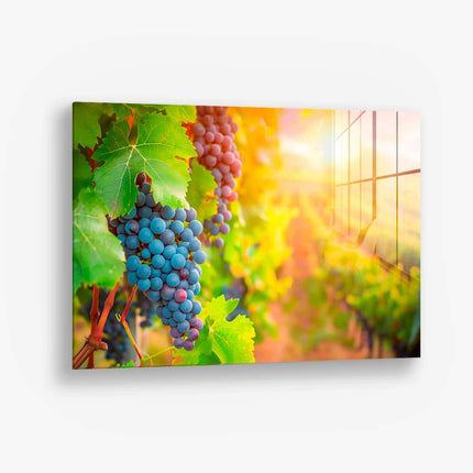 Vineyard Grape – Glass