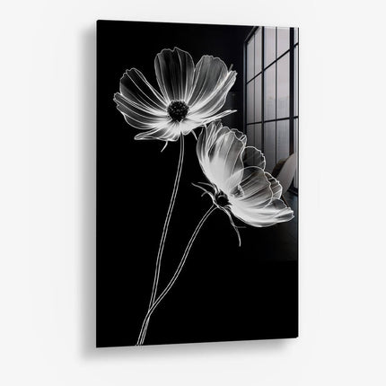 X-Ray Flowers – Glass