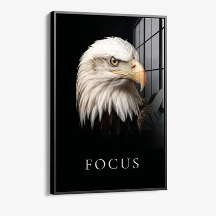 Focus – Glass