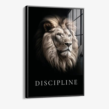 Discipline – Glass