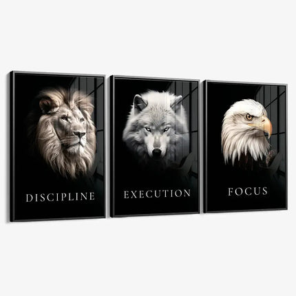 Bundle: "Apex" (3x) – Glass