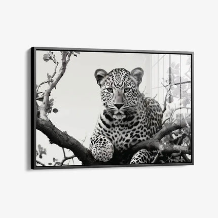 Jaguard In The Tree – Glass