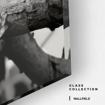 Jaguard In The Tree – Glass