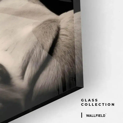 King of the Wild – Glass