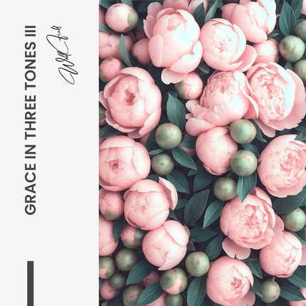 Bundle: "Grace in Three Tones" (3x)