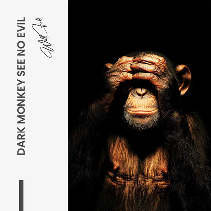 "Dark Monkey See no Evil"