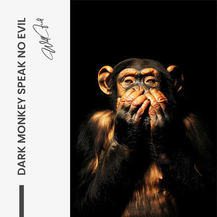 "Dark Monkey Speak no Evil"