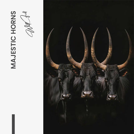 "Majestic Horns"