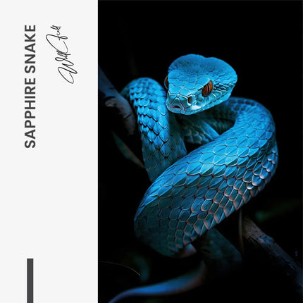 "Sapphire Snake"