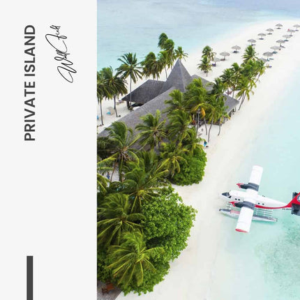 Bundle: "Big Dreams" (2x)