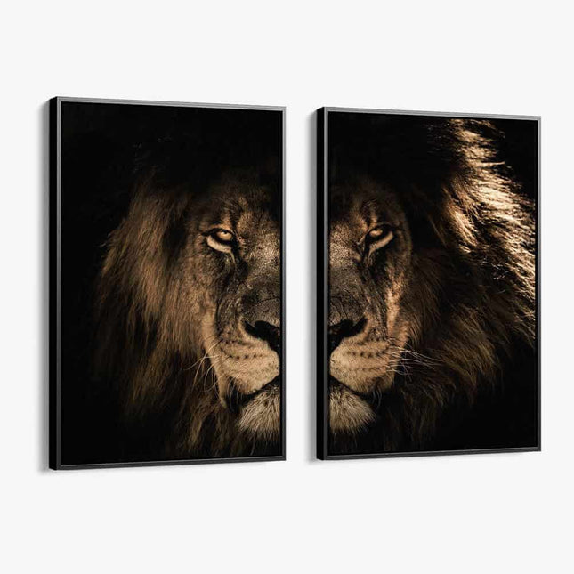 Bundle: Lion in the Dark (2x)