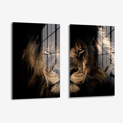 Lion in the Dark (2x) – Glass