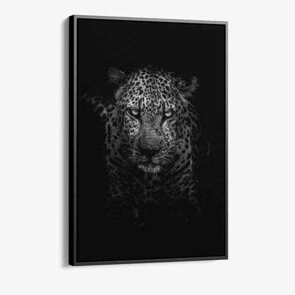 Bundle: "Black Animals" (2x)