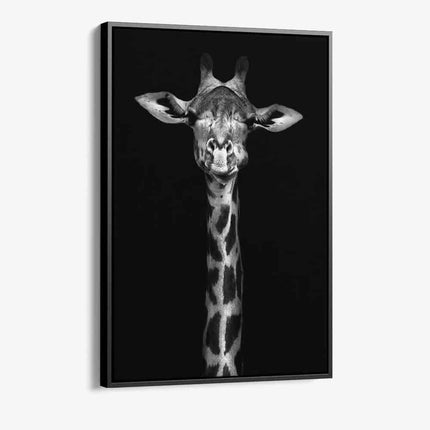 Bundle: "Black Animals" (2x)