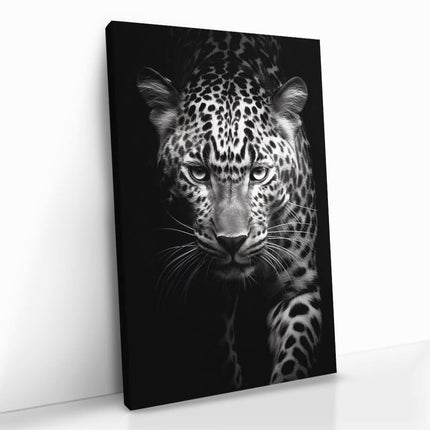 "Leopard Black II"