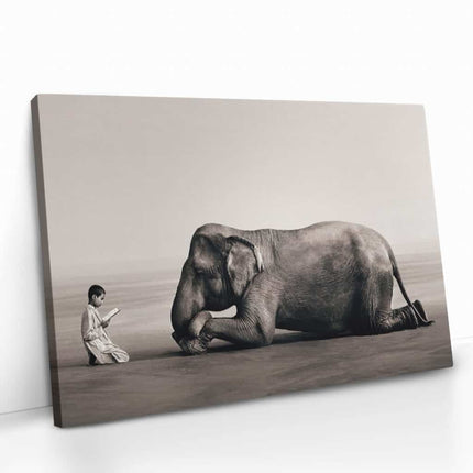 "Spiritual Elephant"