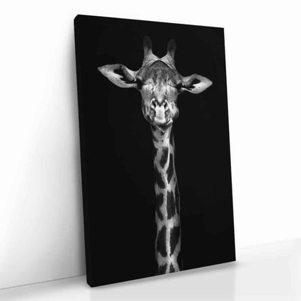 Bundle: "Black Animals" (2x)