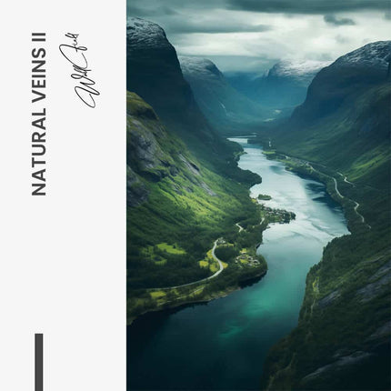 Bundle: "Natural Veins" (2x) – Glass