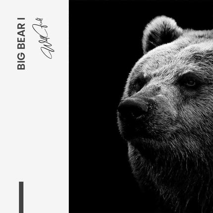 Bundle: "Big Bear" (2x) – Glass