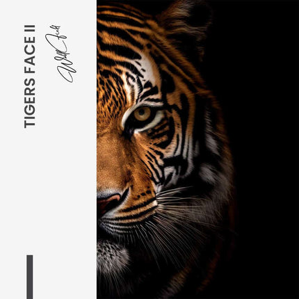Bundle: "Tiger face" (2x) – Glass