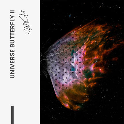 Bundle: "Universe Butterfly" (2x)