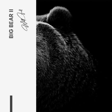 Bundle: "Big Bear" (2x) – Glass