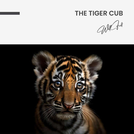 "The Tiger Cub"