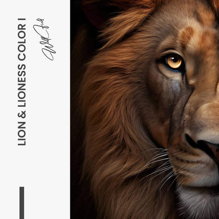 Bundle: "Lion & Lioness Color II" (2x) – Glass