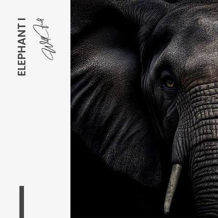 Bundle: "Elephant" (2x) – Glass