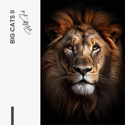 Bundle: "Big Cats" (3x) – Glass