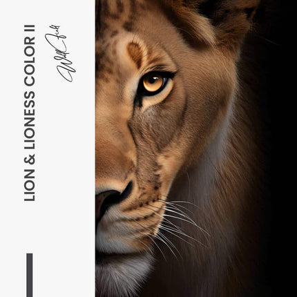 Bundle: "Lion & Lioness Color II" (2x)