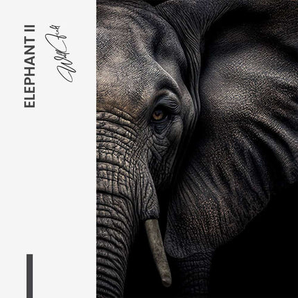Bundle: "Elephant" (2x) – Glass
